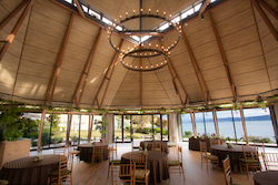 コリドールコート